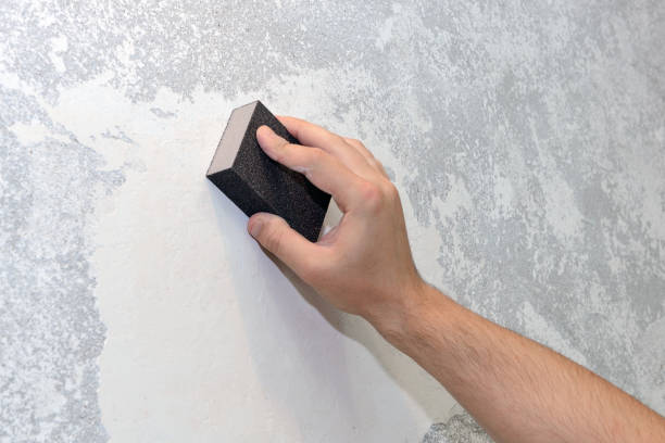 Best Forensic Mold Investigation  in Rushville, IN