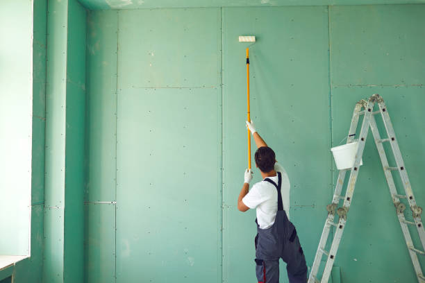 Best Mold Odor Removal Services  in Rushville, IN