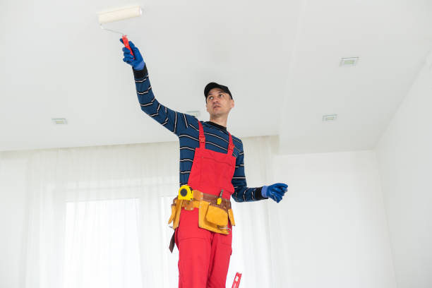 Rushville, IN Mold Removal Company