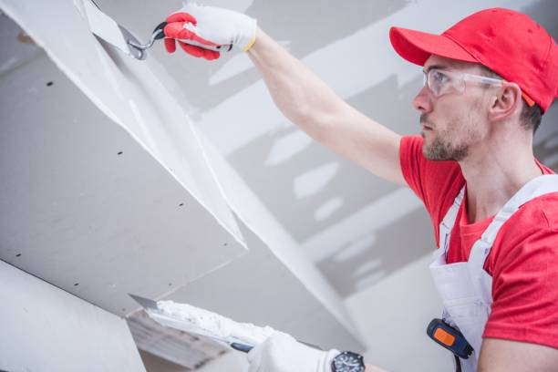 Best Mold Damage Restoration  in Rushville, IN